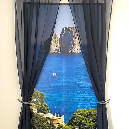 Window